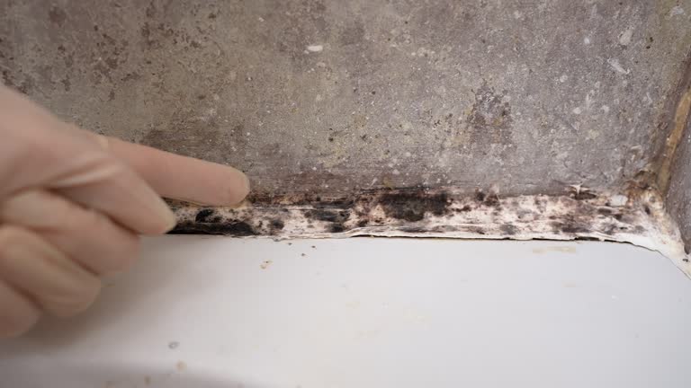 Best Residential Mold Inspection & Testing  in Bristol, VA